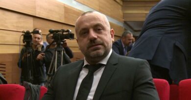 Advokat: Srbija nema osnova za pokretanje procedure protiv Radoičića