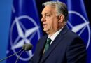 Orban: Priprema NATO saveza za intervenciju u Ukrajini put ka samoubistvu